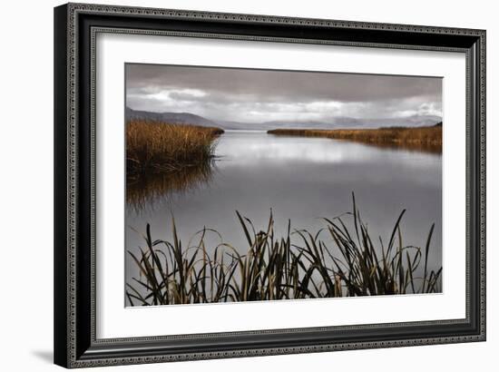 Lake Calm-David Lorenz Winston-Framed Art Print