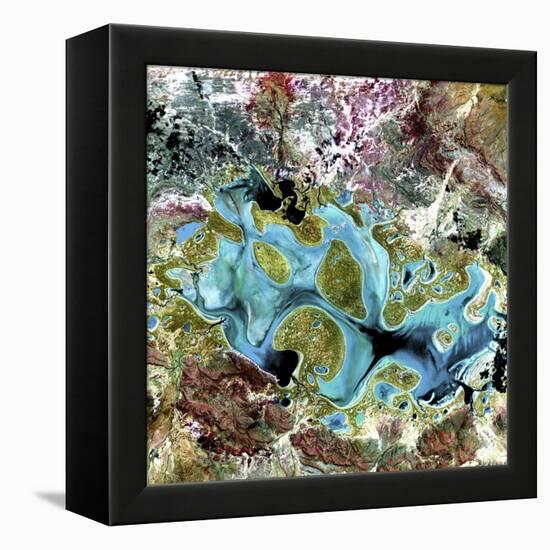 Lake Carnegie, Australia-null-Framed Premier Image Canvas