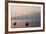 Lake Como Sailboats III-Rita Crane-Framed Photographic Print