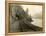 Lake Crescent Road, 1918-Asahel Curtis-Framed Premier Image Canvas