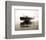 Lake Cruiser-Vintage Photography-Framed Art Print