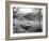 Lake District 1963-Staff-Framed Photographic Print