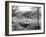 Lake District 1963-Staff-Framed Photographic Print