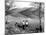 Lake District 1963-Staff-Mounted Photographic Print