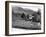 Lake District 1965-Staff-Framed Photographic Print