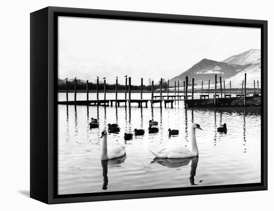 Lake District - Derwentwater 1965-Staff-Framed Premier Image Canvas