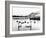 Lake District - Derwentwater 1965-Staff-Framed Photographic Print