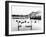 Lake District - Derwentwater 1965-Staff-Framed Photographic Print