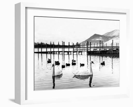 Lake District - Derwentwater 1965-Staff-Framed Photographic Print