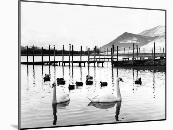 Lake District - Derwentwater 1965-Staff-Mounted Photographic Print