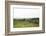 Lake District I-Laura Marshall-Framed Photographic Print