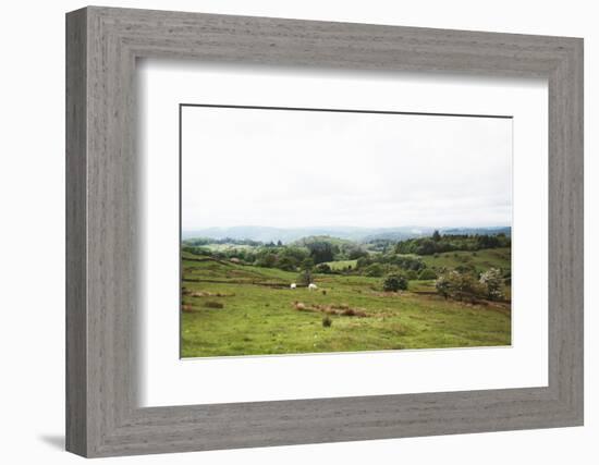 Lake District I-Laura Marshall-Framed Photographic Print