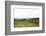 Lake District I-Laura Marshall-Framed Photographic Print