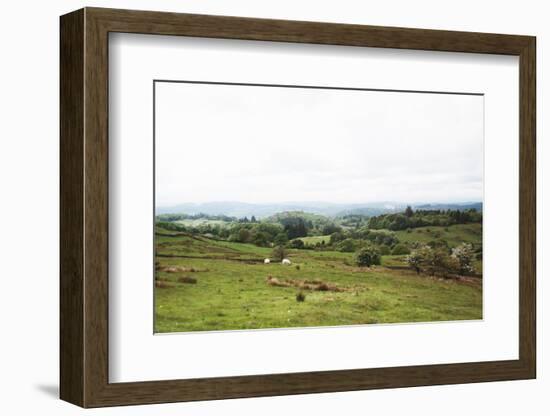 Lake District I-Laura Marshall-Framed Photographic Print