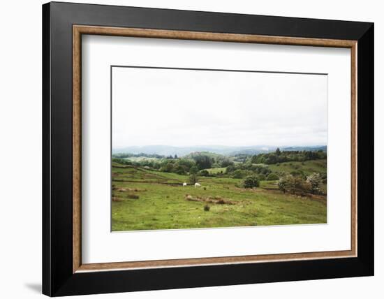 Lake District I-Laura Marshall-Framed Photographic Print