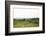 Lake District I-Laura Marshall-Framed Photographic Print