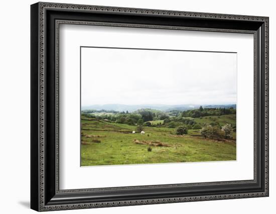 Lake District I-Laura Marshall-Framed Photographic Print