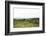 Lake District I-Laura Marshall-Framed Photographic Print