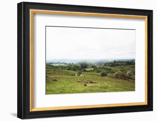 Lake District I-Laura Marshall-Framed Photographic Print