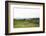 Lake District I-Laura Marshall-Framed Photographic Print