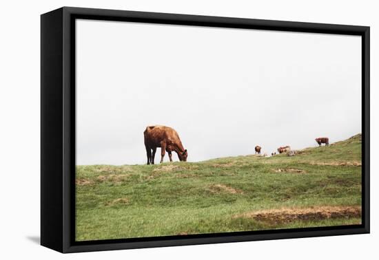 Lake District II-Laura Marshall-Framed Premier Image Canvas