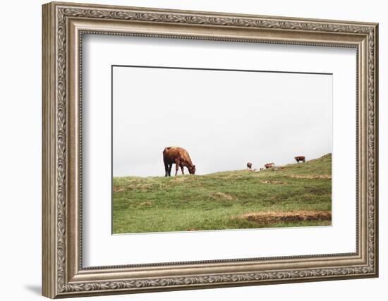 Lake District II-Laura Marshall-Framed Photographic Print