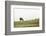 Lake District II-Laura Marshall-Framed Photographic Print