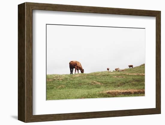 Lake District II-Laura Marshall-Framed Photographic Print