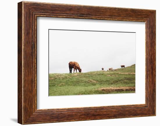 Lake District II-Laura Marshall-Framed Photographic Print