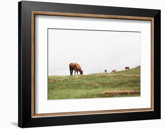 Lake District II-Laura Marshall-Framed Photographic Print