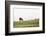 Lake District II-Laura Marshall-Framed Photographic Print