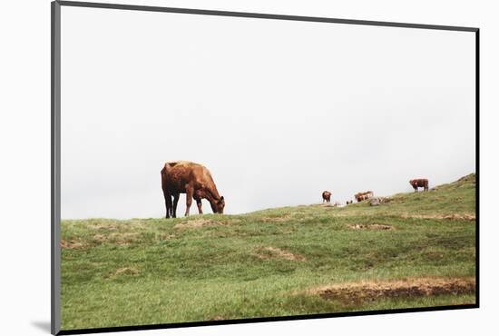 Lake District II-Laura Marshall-Mounted Photographic Print