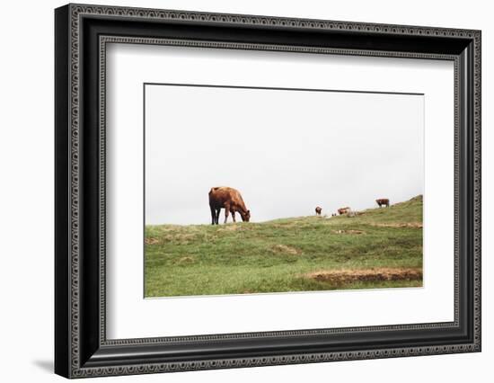 Lake District II-Laura Marshall-Framed Photographic Print