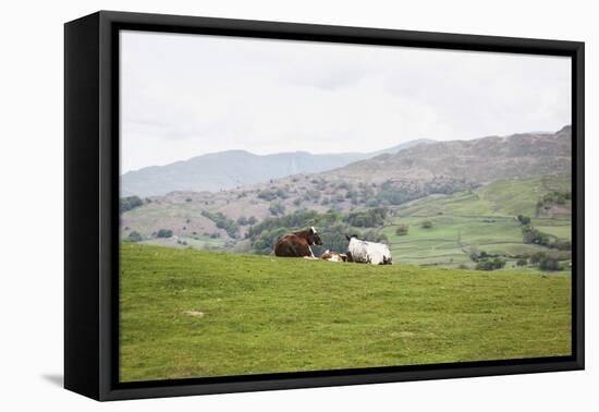 Lake District III-Laura Marshall-Framed Premier Image Canvas