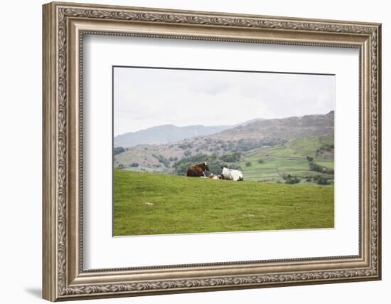 Lake District III-Laura Marshall-Framed Photographic Print