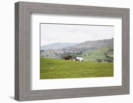 Lake District III-Laura Marshall-Framed Photographic Print