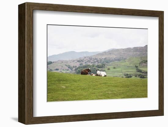 Lake District III-Laura Marshall-Framed Photographic Print