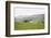 Lake District III-Laura Marshall-Framed Photographic Print