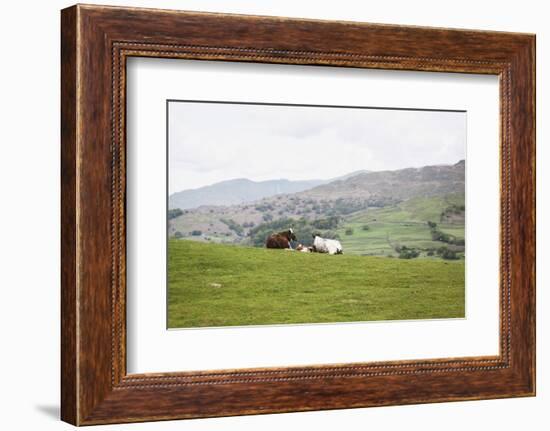 Lake District III-Laura Marshall-Framed Photographic Print