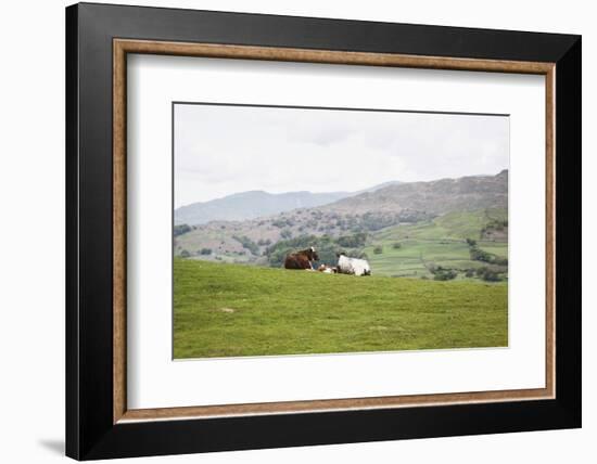 Lake District III-Laura Marshall-Framed Photographic Print