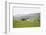 Lake District III-Laura Marshall-Framed Photographic Print