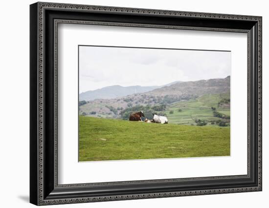 Lake District III-Laura Marshall-Framed Photographic Print