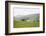 Lake District III-Laura Marshall-Framed Photographic Print