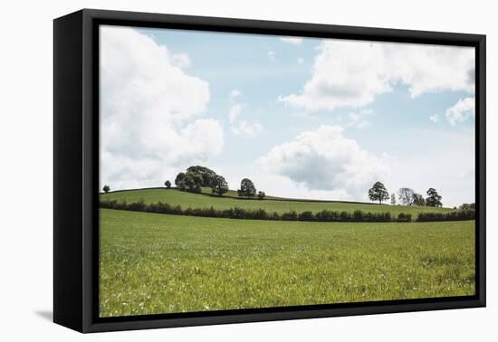 Lake District IV-Laura Marshall-Framed Premier Image Canvas
