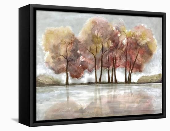 Lake Foliage-Doris Charest-Framed Stretched Canvas