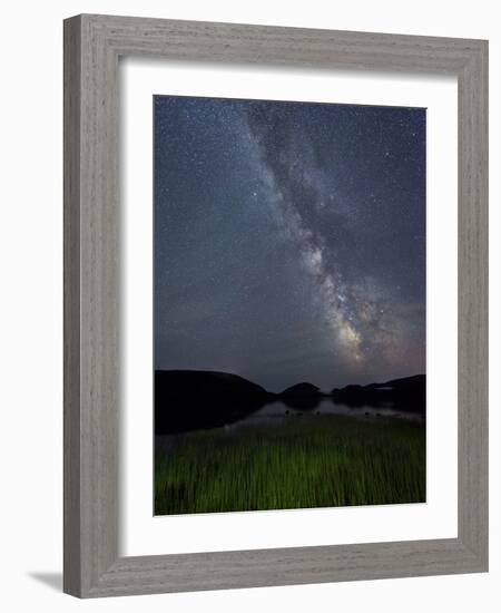 Lake Grasses-Michael Blanchette Photography-Framed Photographic Print