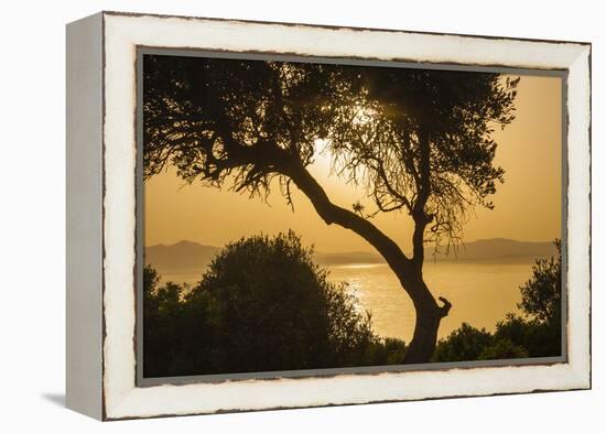 Lake Ichkeul, National Park of Ichkeul, Bizerte Province, Tunisia, North Africa-Nico Tondini-Framed Premier Image Canvas