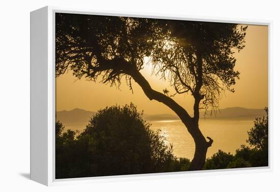 Lake Ichkeul, National Park of Ichkeul, Bizerte Province, Tunisia, North Africa-Nico Tondini-Framed Premier Image Canvas