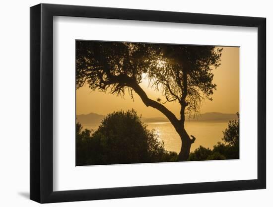 Lake Ichkeul, National Park of Ichkeul, Bizerte Province, Tunisia, North Africa-Nico Tondini-Framed Premium Photographic Print