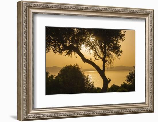 Lake Ichkeul, National Park of Ichkeul, Bizerte Province, Tunisia, North Africa-Nico Tondini-Framed Photographic Print